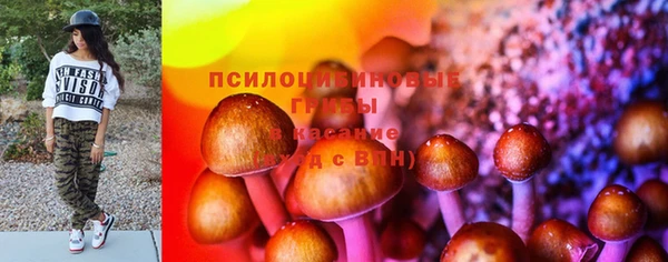 а пвп мука Няндома