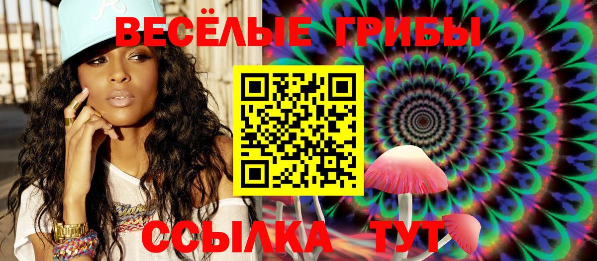 Ступино  Псилоцибиновые грибы GOLDEN TEACHER  Вход с VPN 